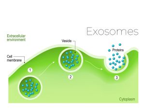 Exosomes-Scottsdale